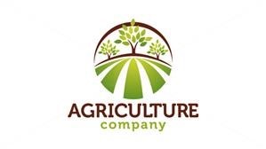99designs How to Design Logo